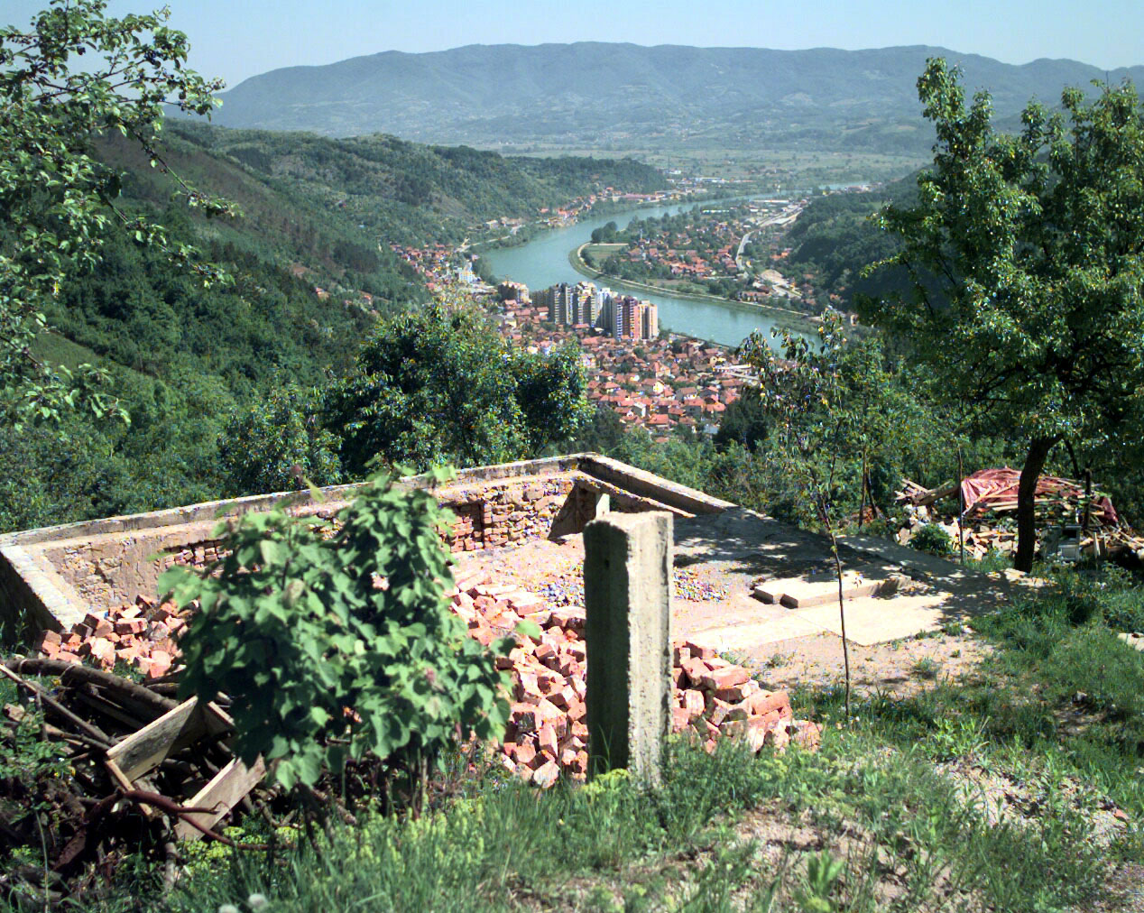 zv103.jpg